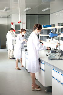 長三角化妝品與信息科技產業協同發展新趨勢——以上海、蘇州、杭州為例